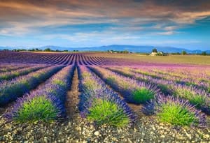 Dordogne