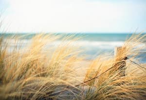 Mecklenburg Coast