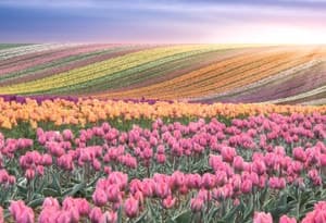 Kop van Noord-Holland