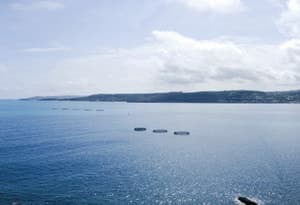 Malta Island